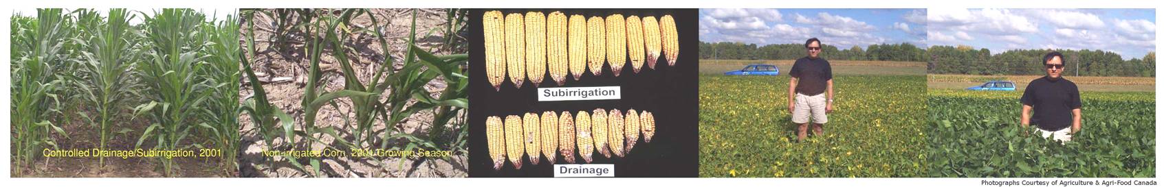 Conservation Drainage Project